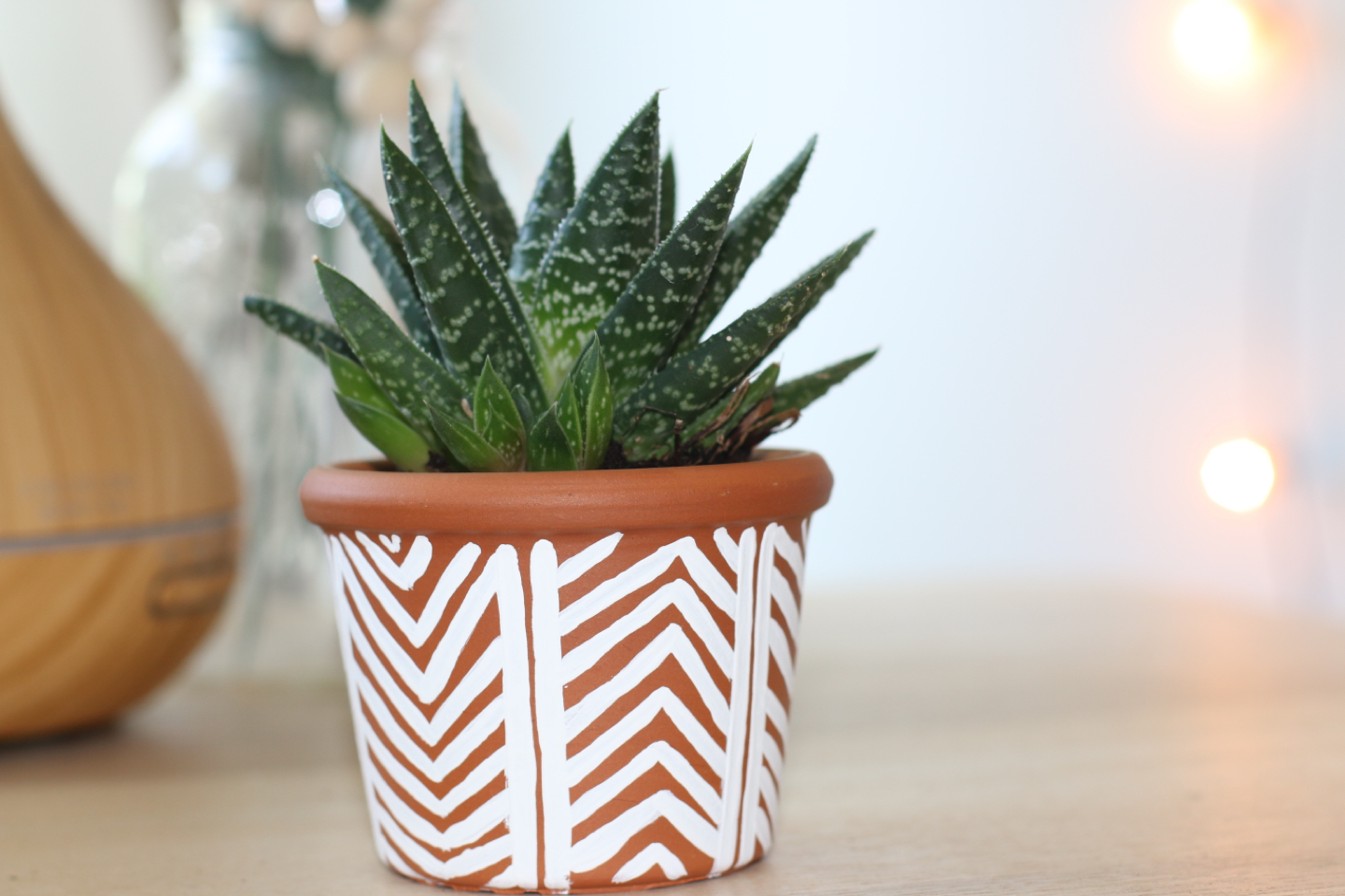 Hand Painted Boho Planter Pots