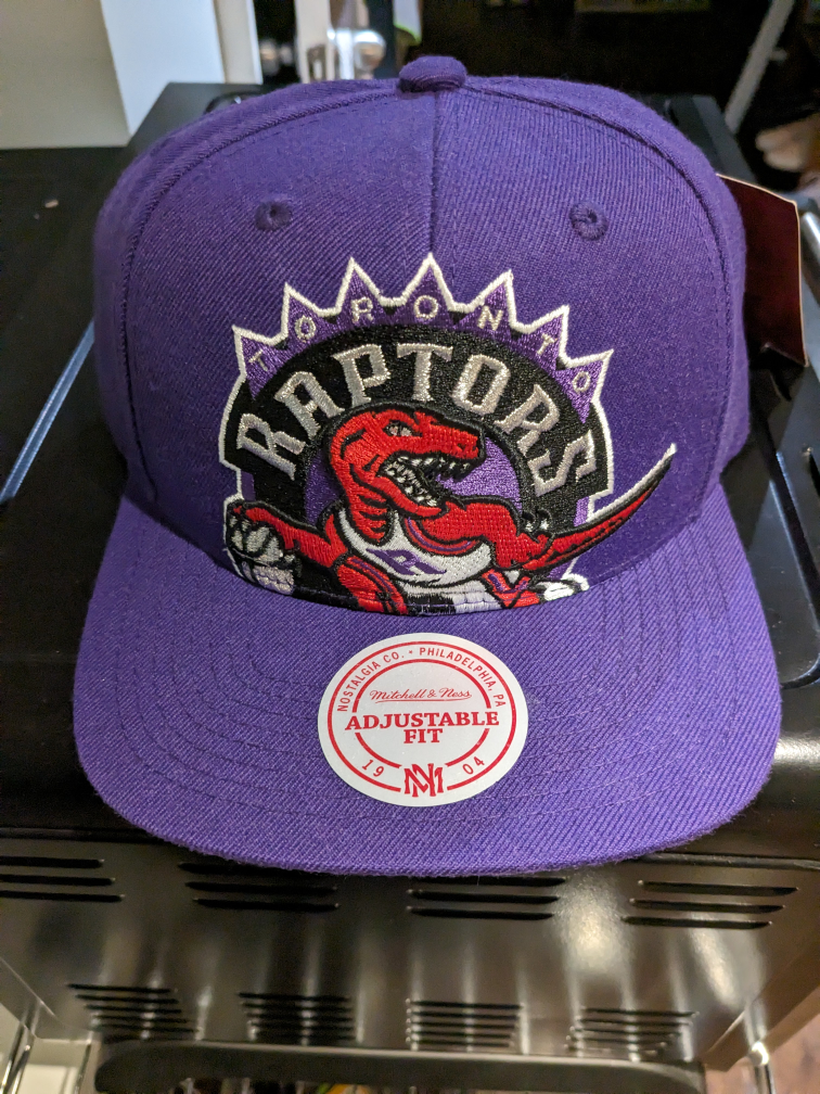 Raptors Big logo snapback thumbnail
