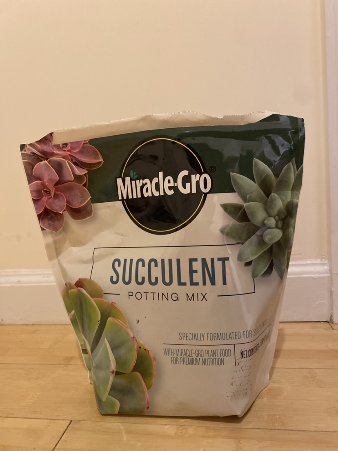 Succulent Potting Mix