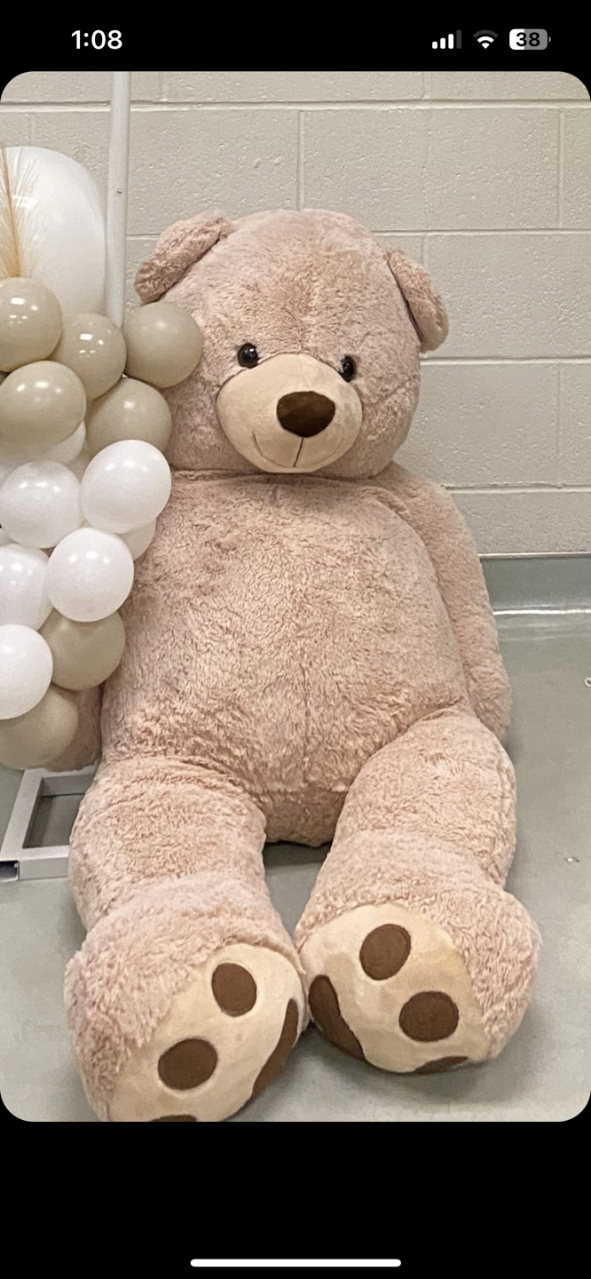 Big teddy bear