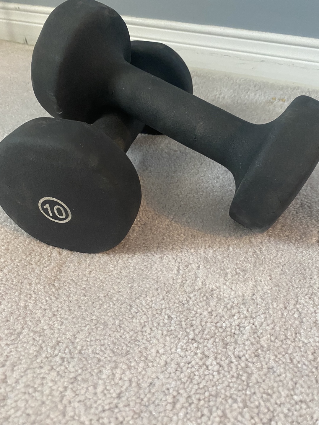 10lb dumbbells thumbnail