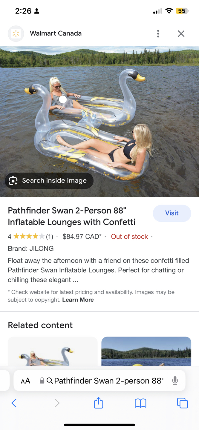 pathfinder swan