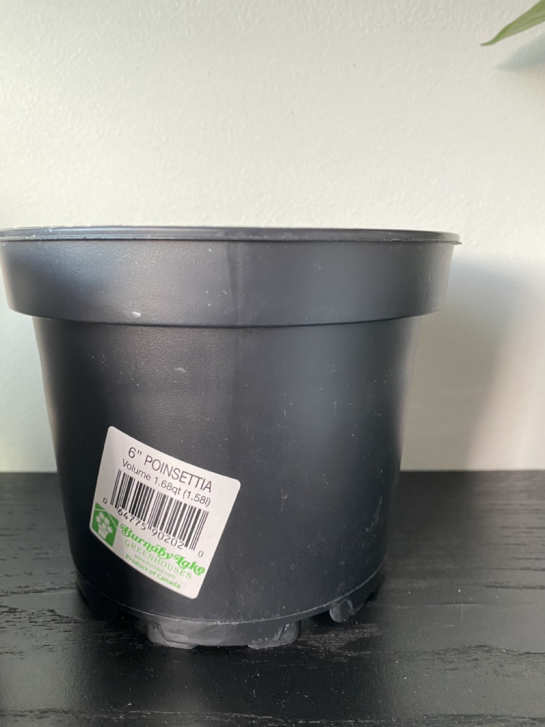 Plant pots ⬆️ - photo 4