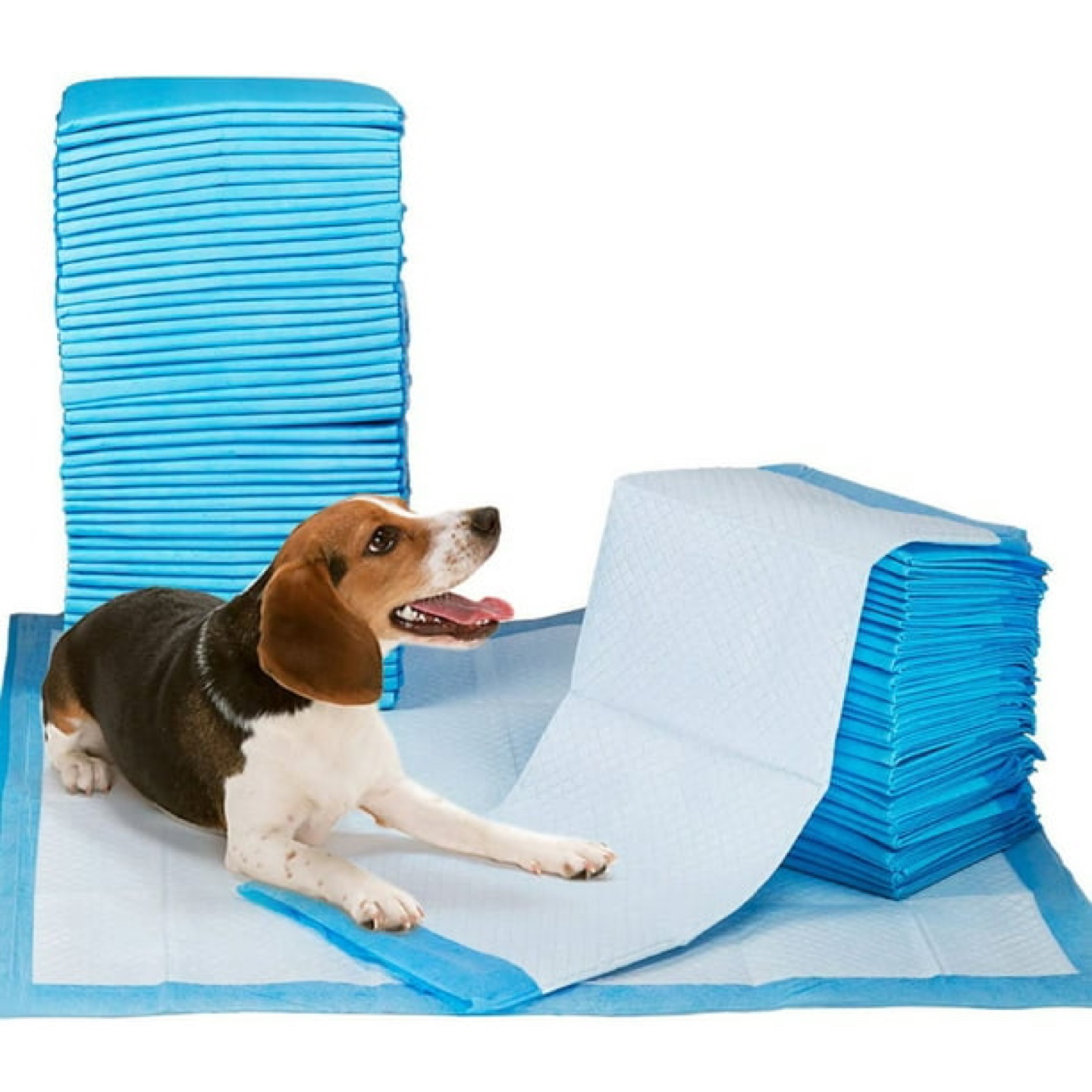 ~200 Puppy/Dog Potty Mats (Still available) thumbnail
