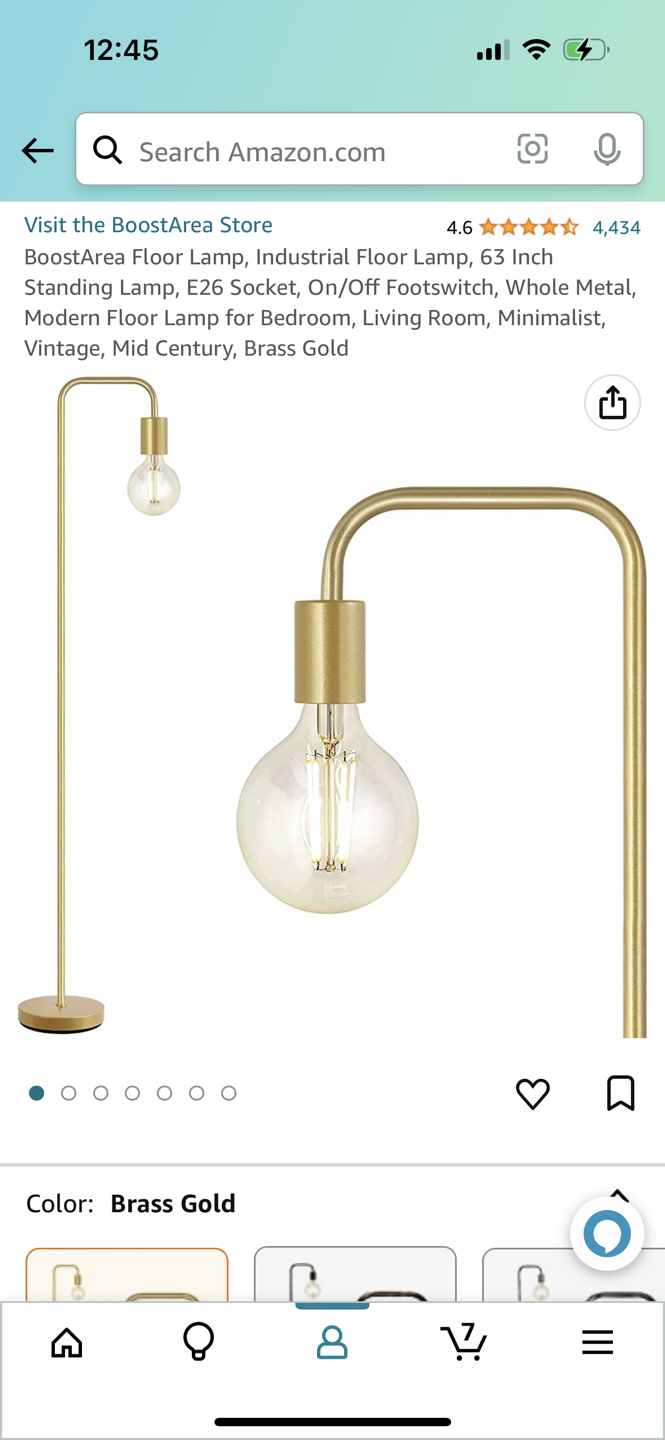 Modern Industrial Floor Lamp