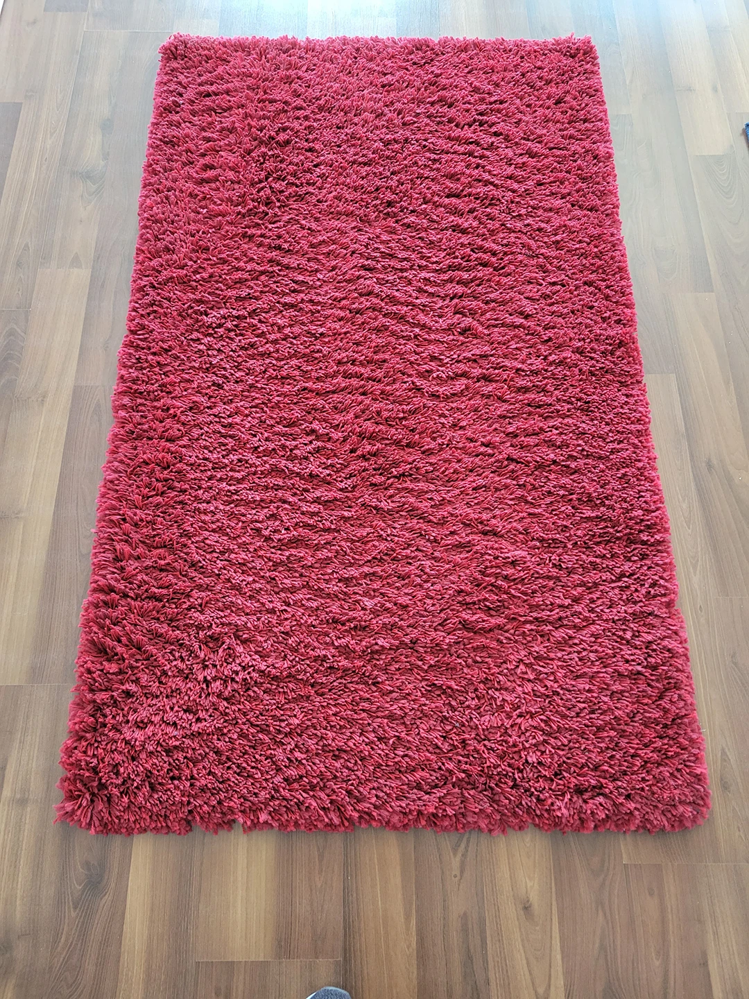 Red carpet (Oscar worthy area rug!) thumbnail