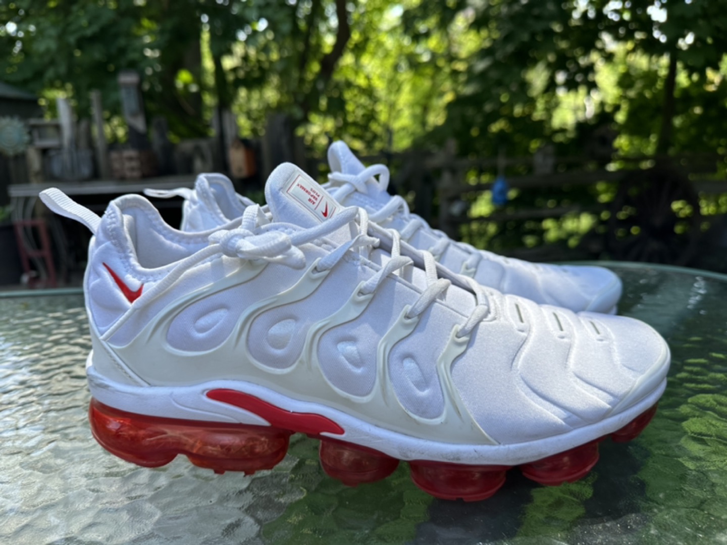 Nike Vapor max plus