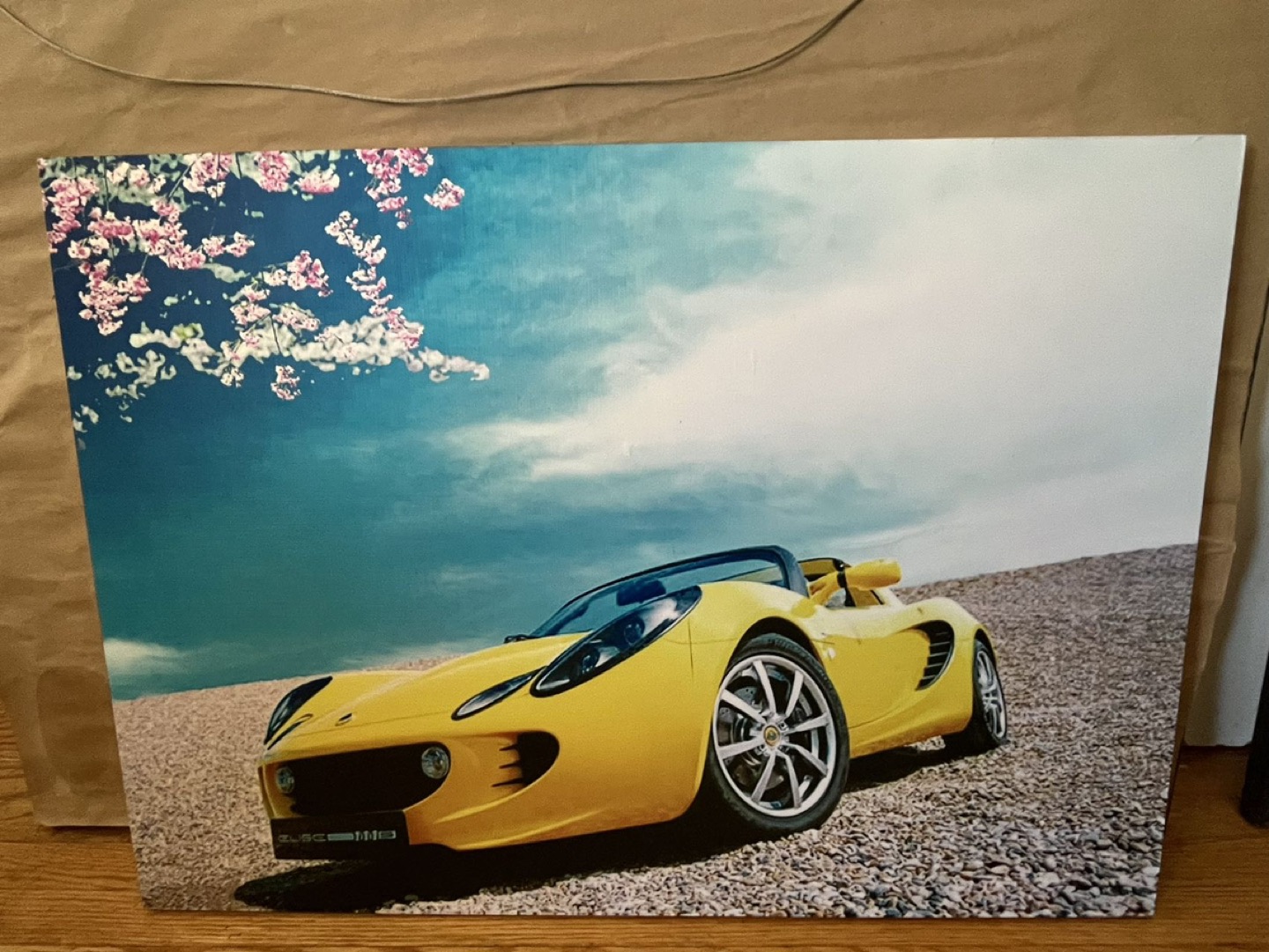 Paintings