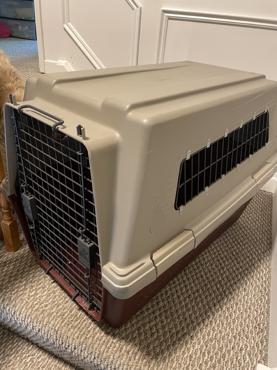 32” Large dog crate - photo 2