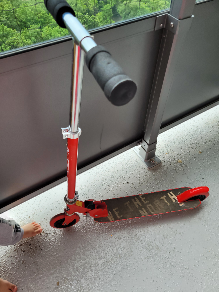 Boys raptors scooter image indicator(2)