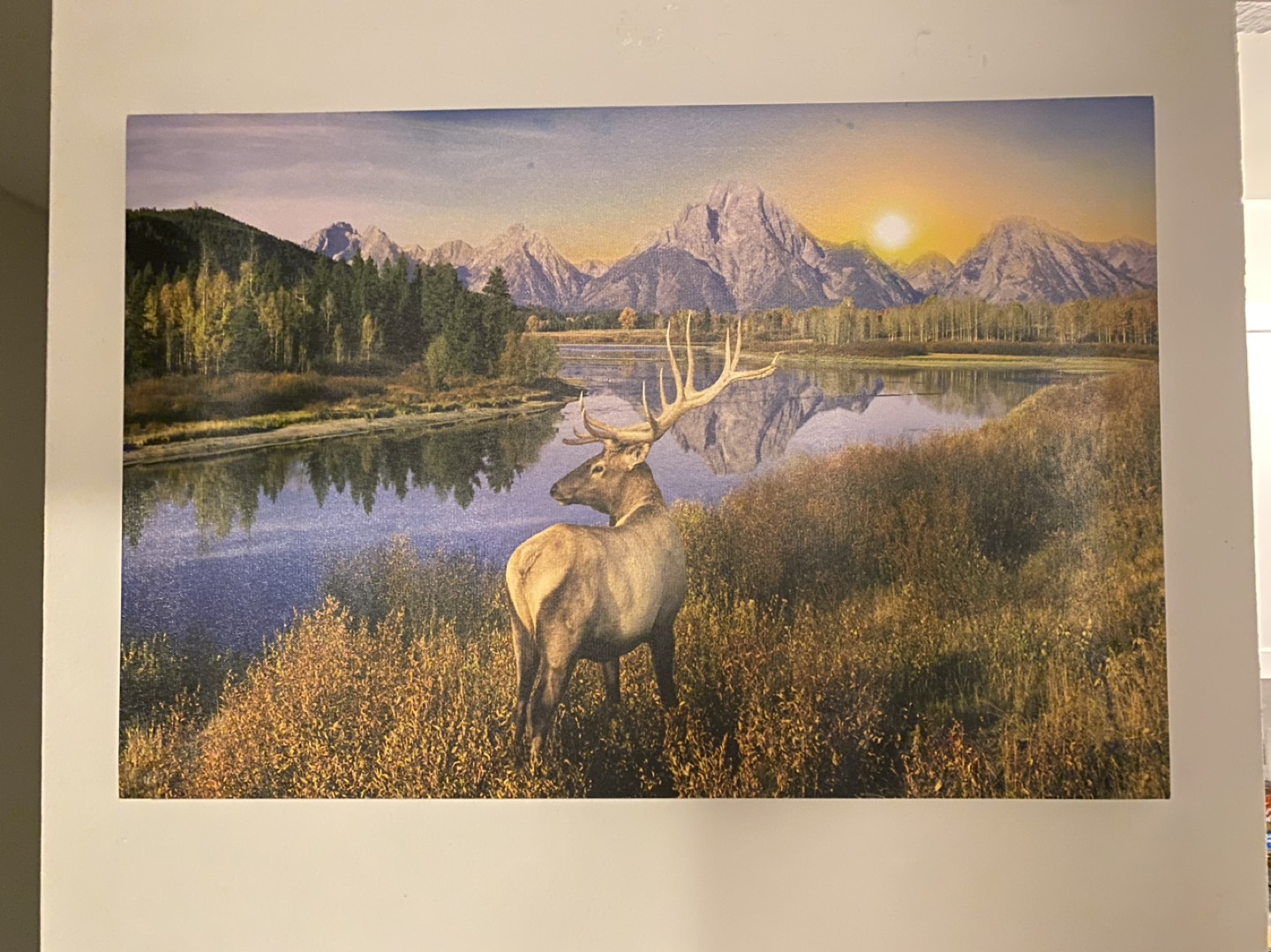 Wall picture (  night LED ) thumbnail