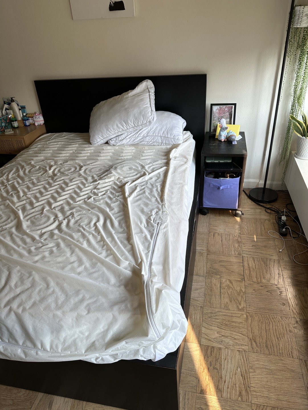 FREE IKEA QUEEN MATTRESS