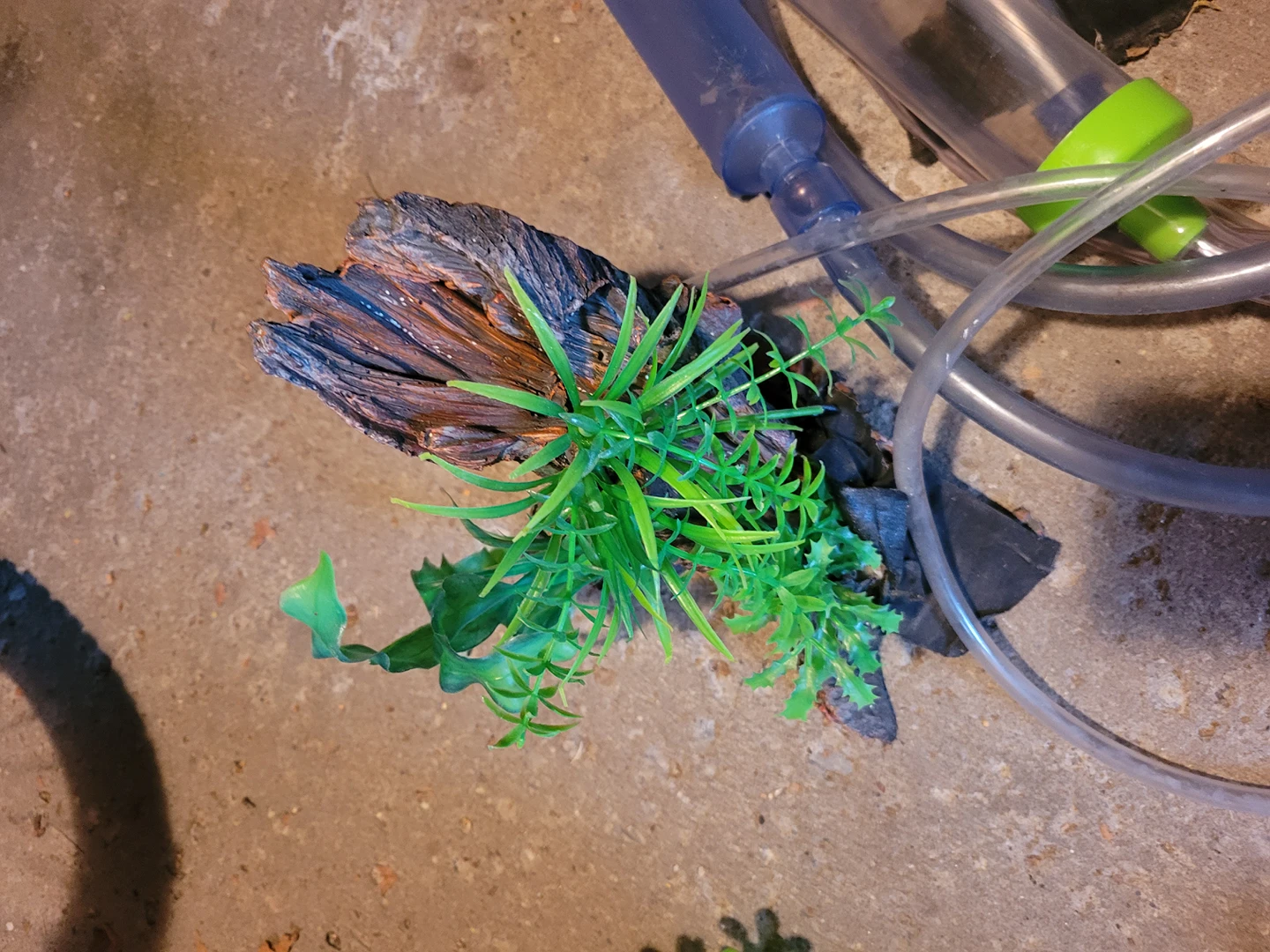 fish tank accessories image indicator(3)