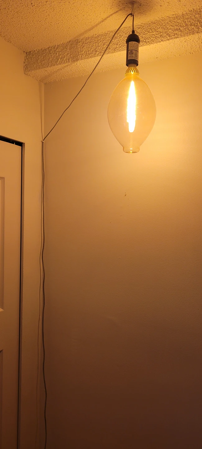 Edison bulb with cord