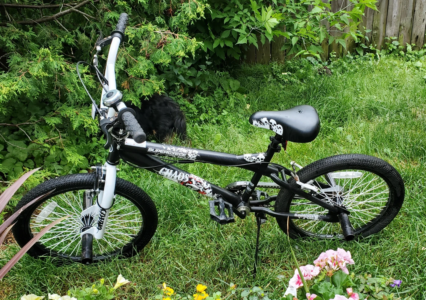 BMX Chaos Supercycle Bike, 20 inch tires - photo 3