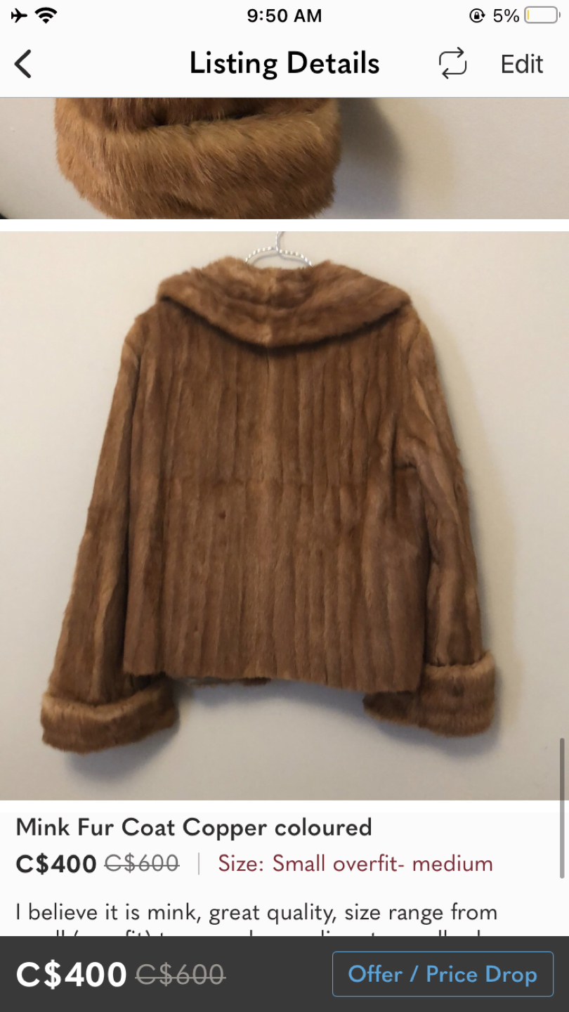 Vintage Mink Coat image indicator(5)