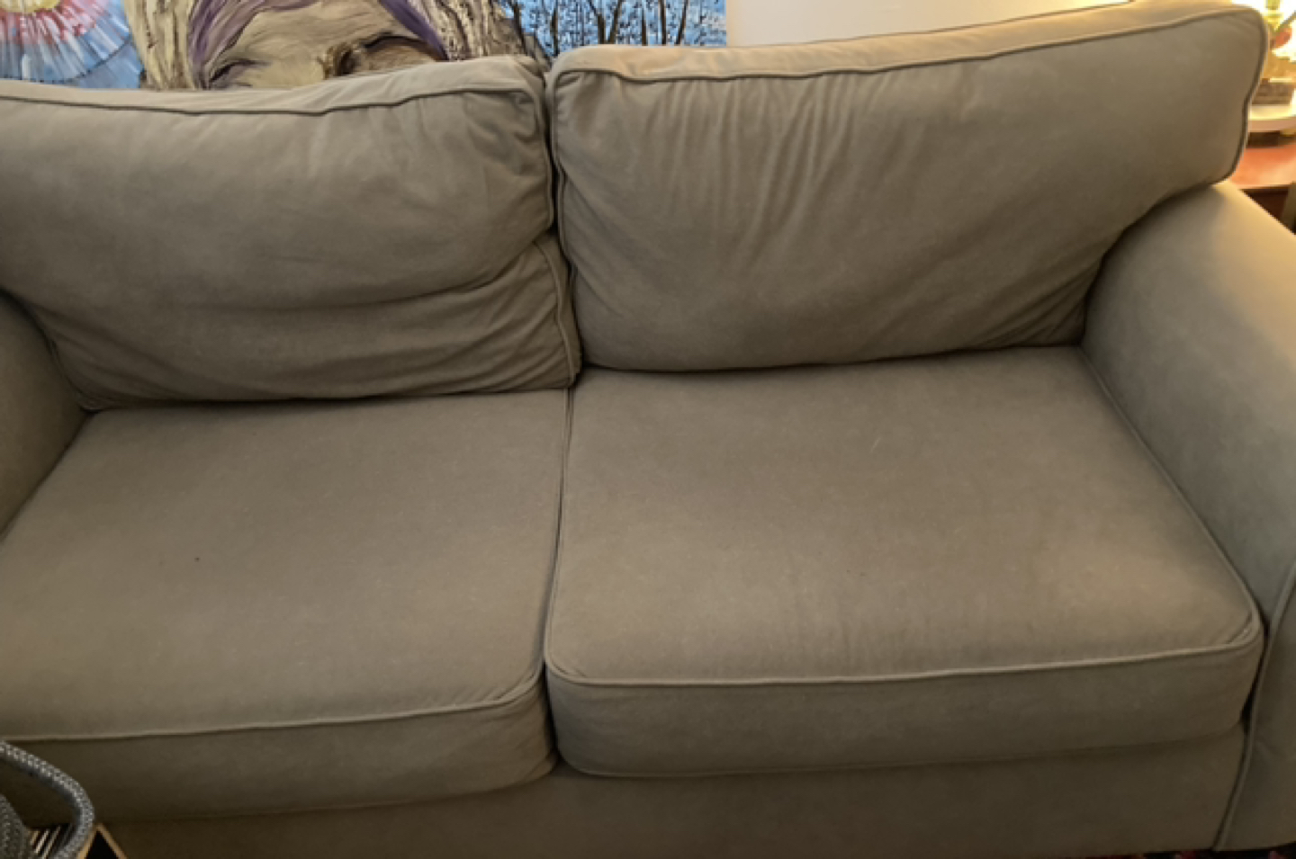 Comfy Couch for FREE!! image indicator(3)