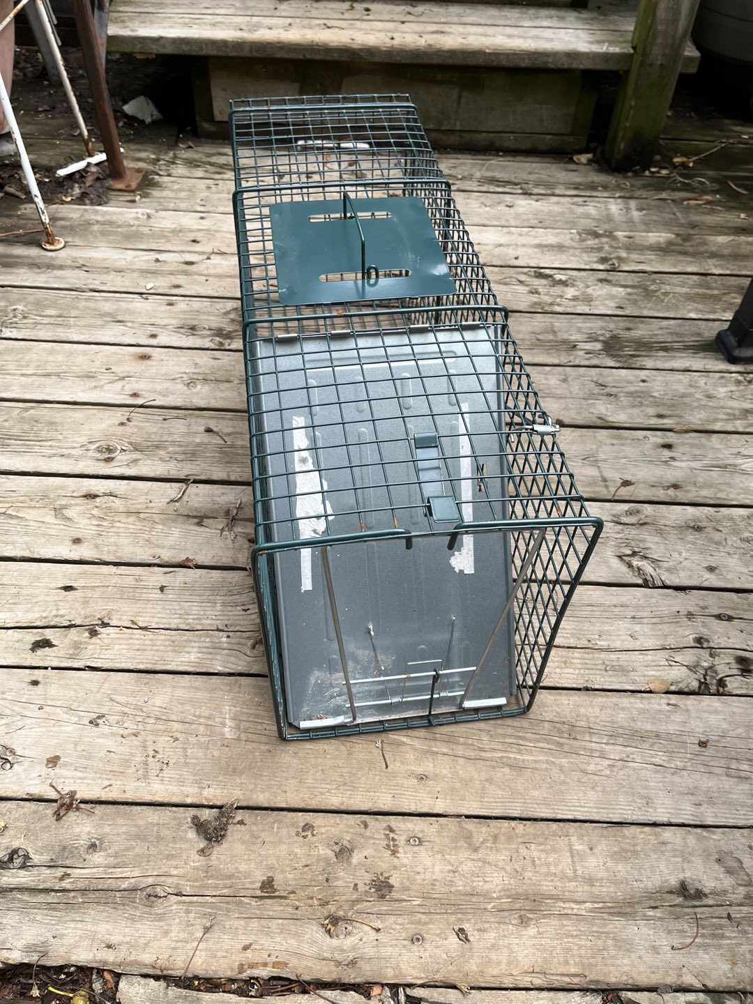 Animal Trap (Will work with Racoons) - photo 2