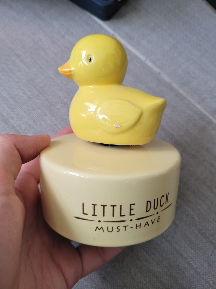 duck music box