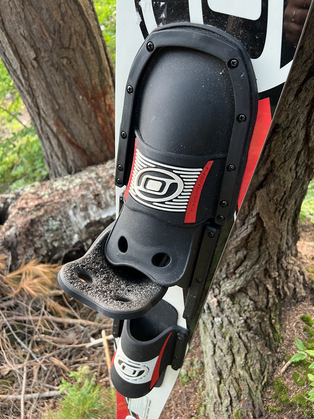 Water Skis image indicator(7)