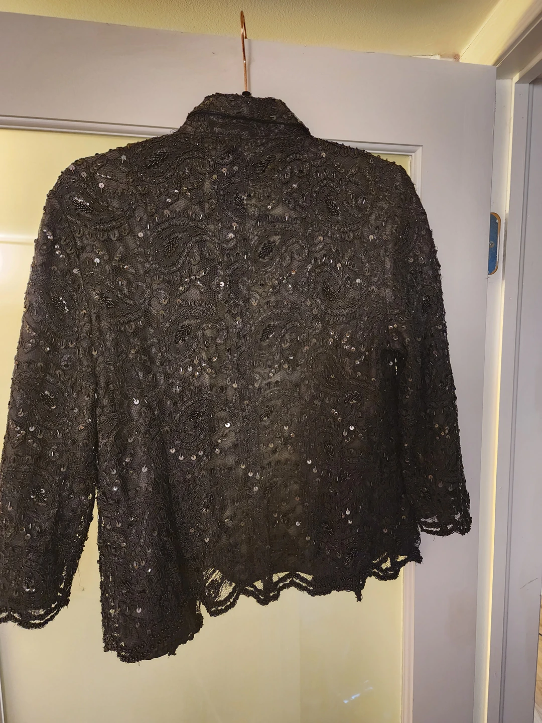 Lace Embroidered Blazer image indicator(4)