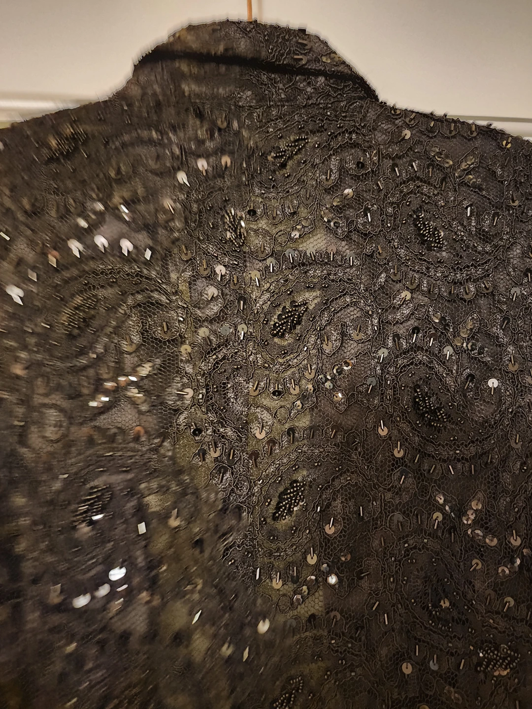 Lace Embroidered Blazer image indicator(5)