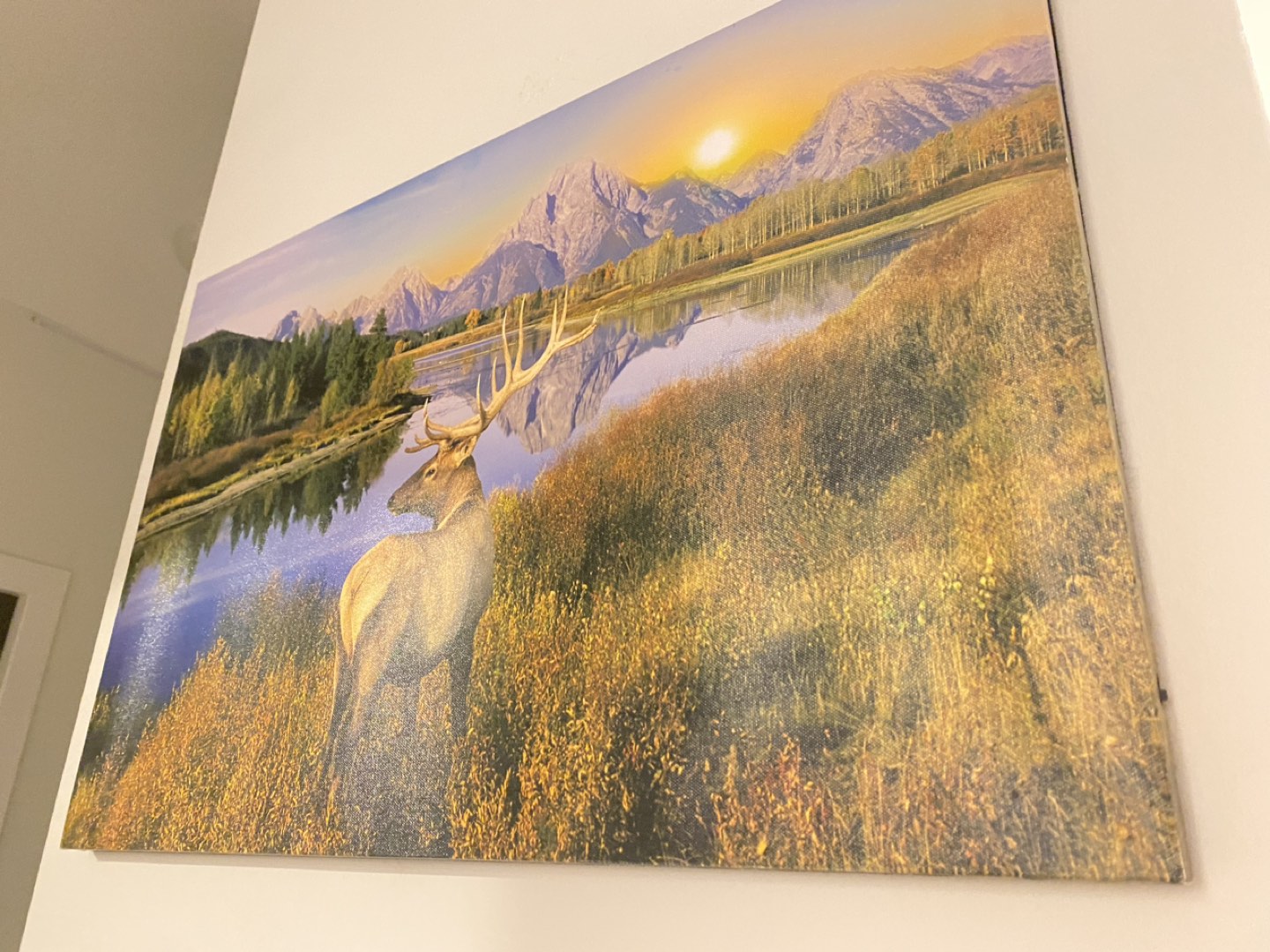 Wall picture (  night LED ) image indicator(2)