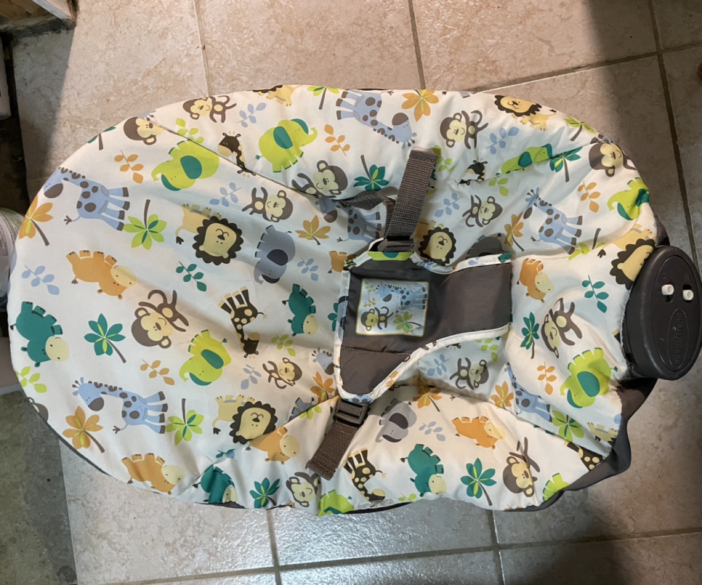 Baby trend bouncer #freecycle