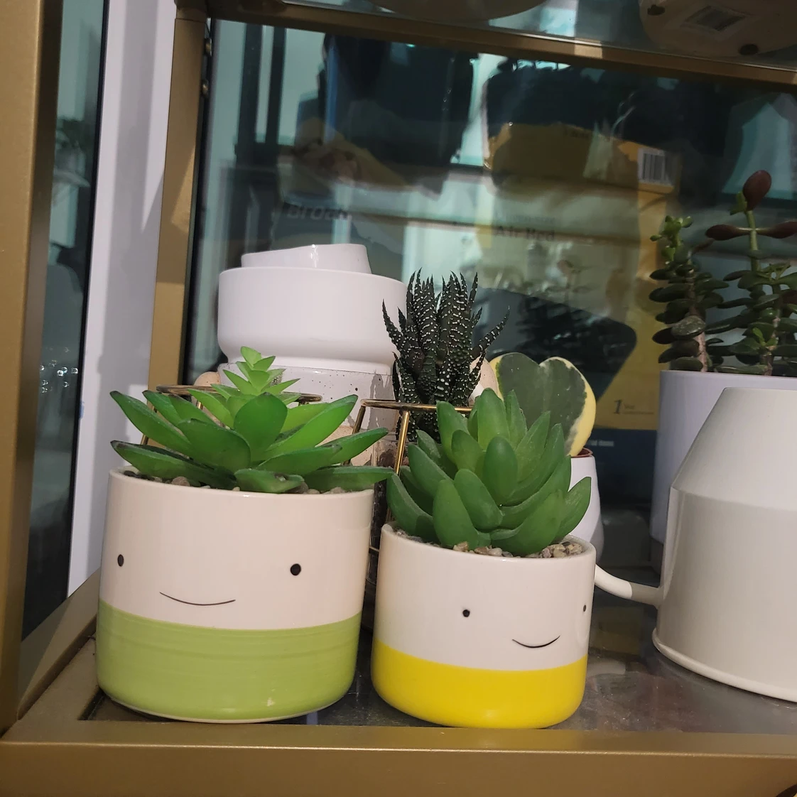 cute faux plants thumbnail