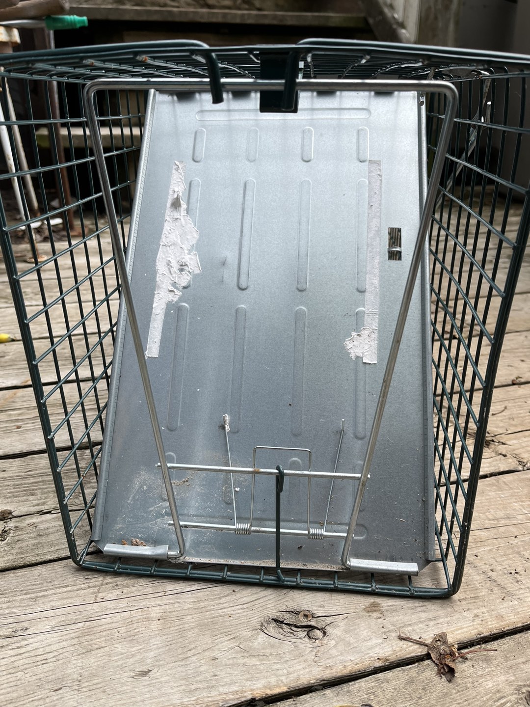 Animal Trap (Will work with Racoons) - photo 4