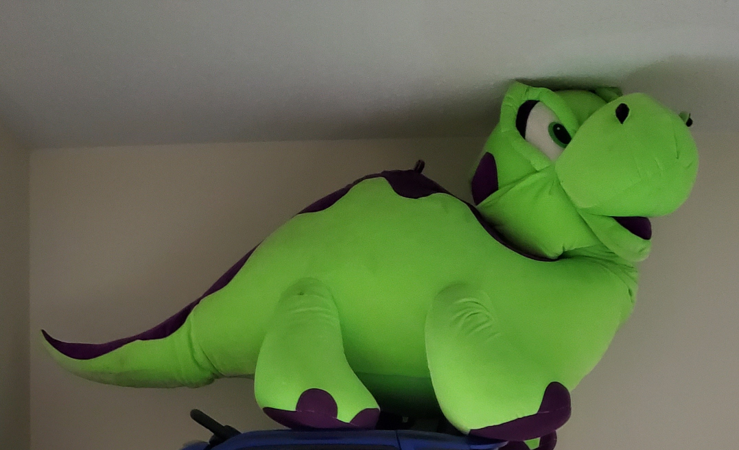 3 Dinosaur - photo 2