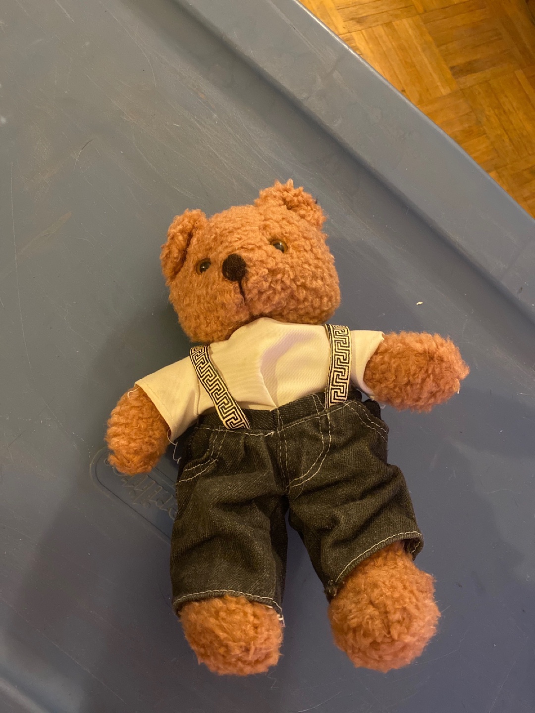 Versace Teddy Bear
