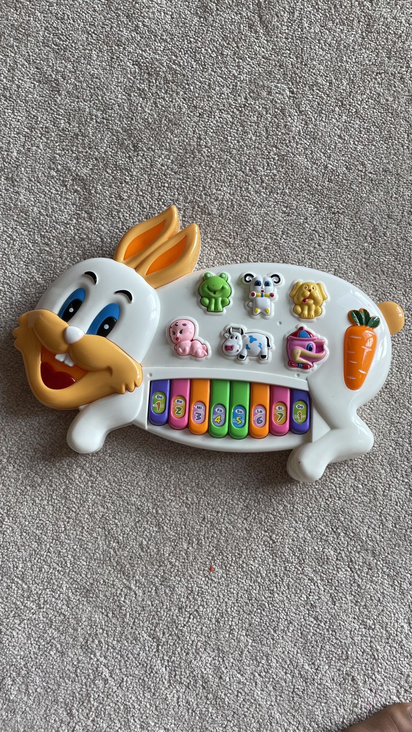 Musical Toys - photo 5