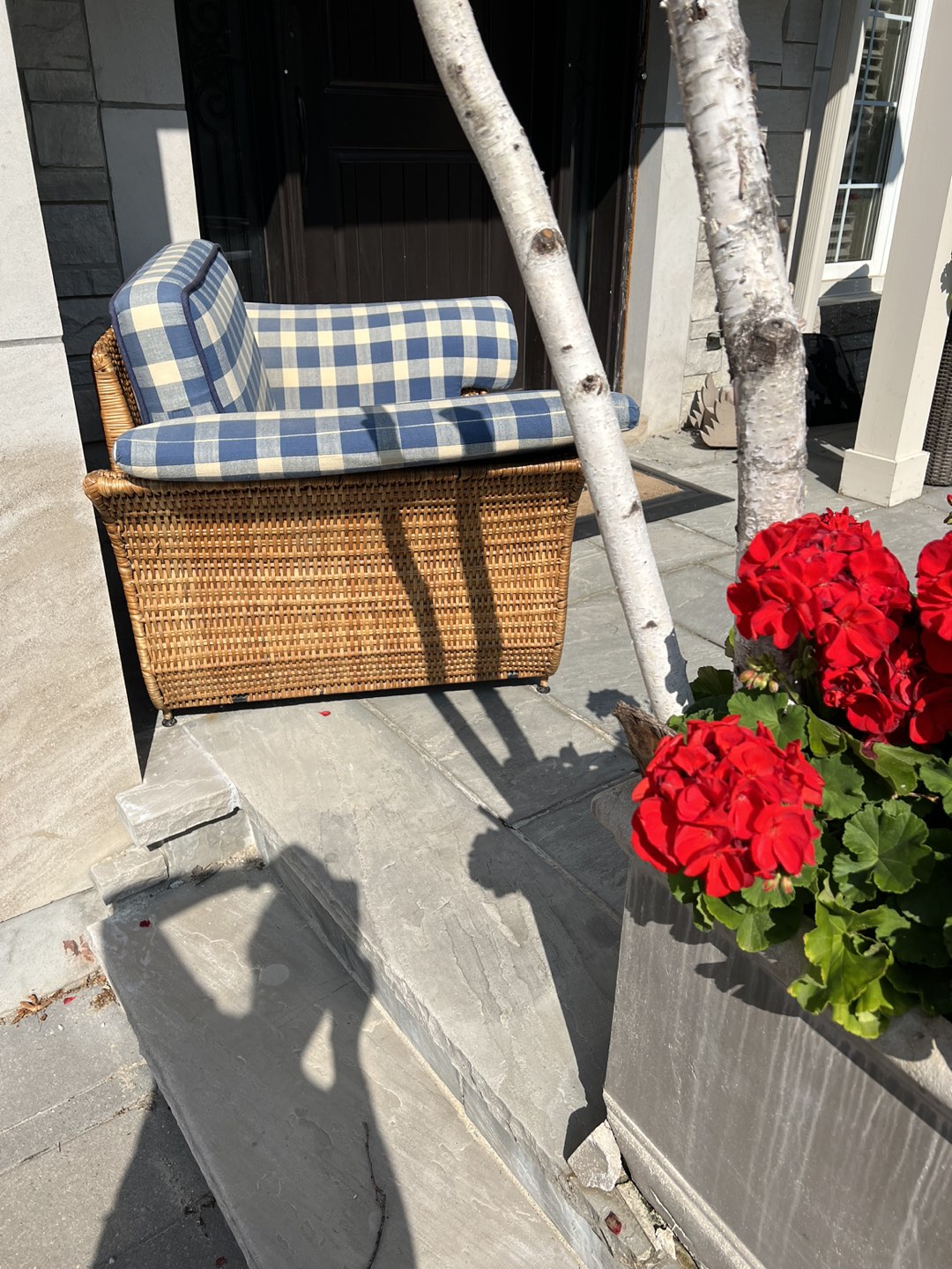 Outdoor Lounging chair with cushions image indicator(3)