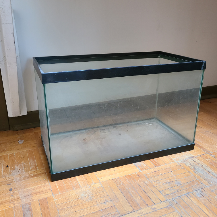 Glass Aquarium thumbnail