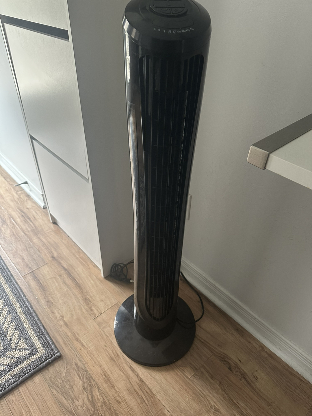 Fan