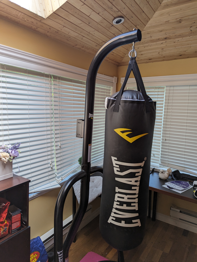 Everlast heavy bag and adjustable stand 