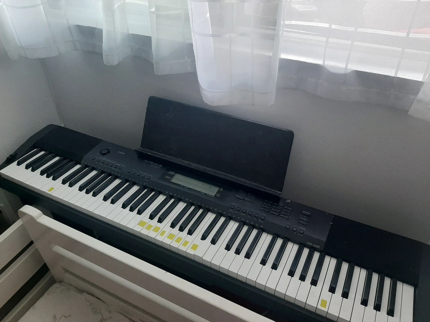 casio piano