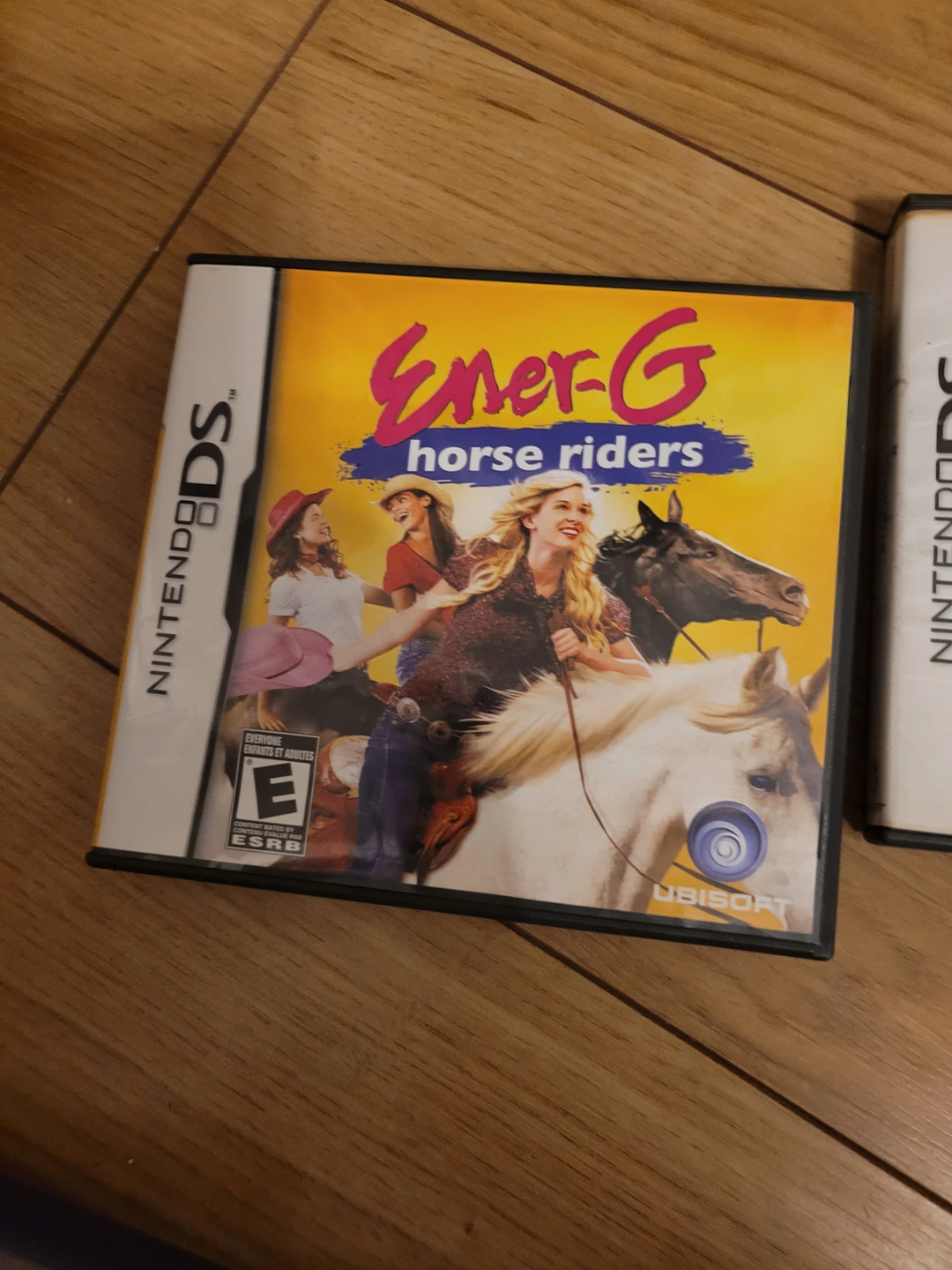 Nintendo DS image indicator(6)