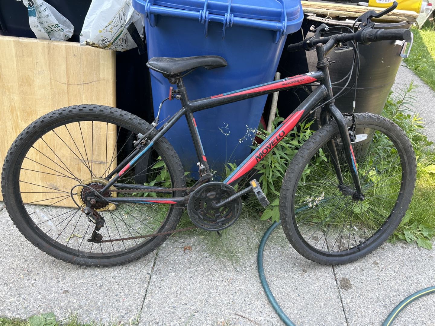 Adult bike