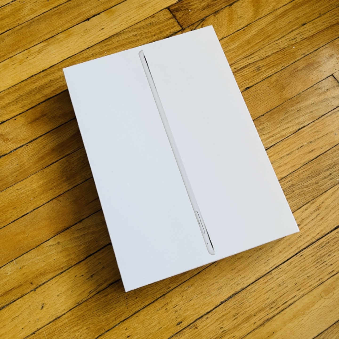 iPad Air 2 (16GB Silver)