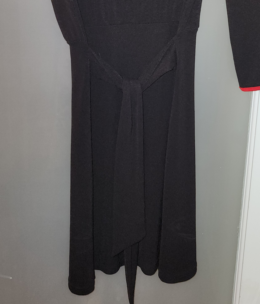 Damzels in this Dress image indicator(5)