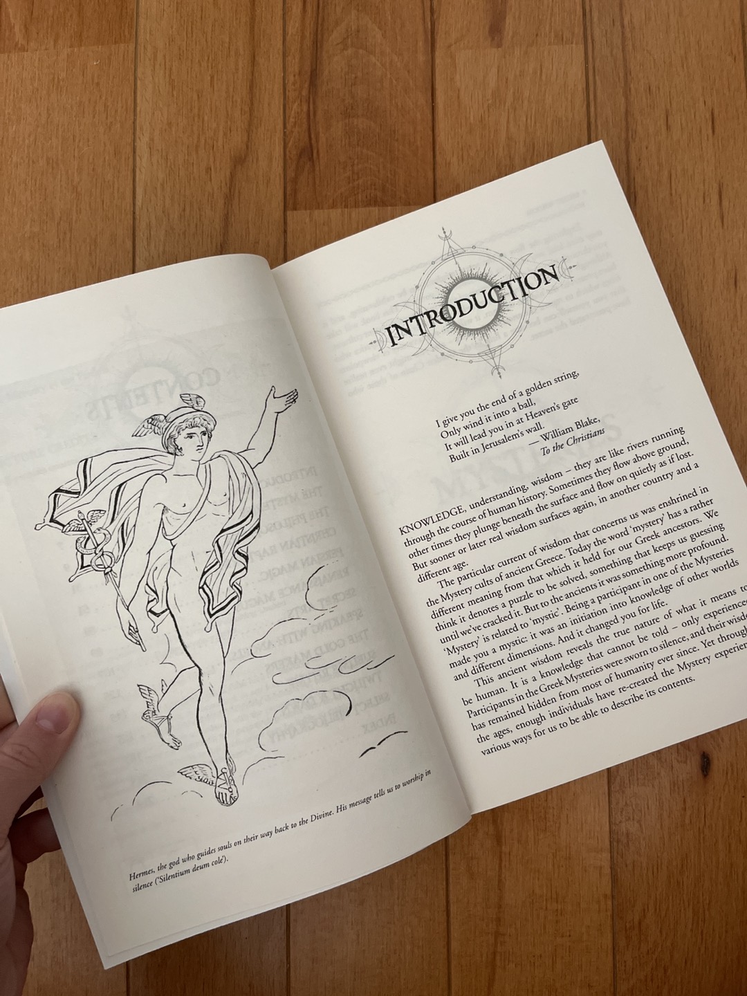A book on occult societies and arcane knowledge - photo 3