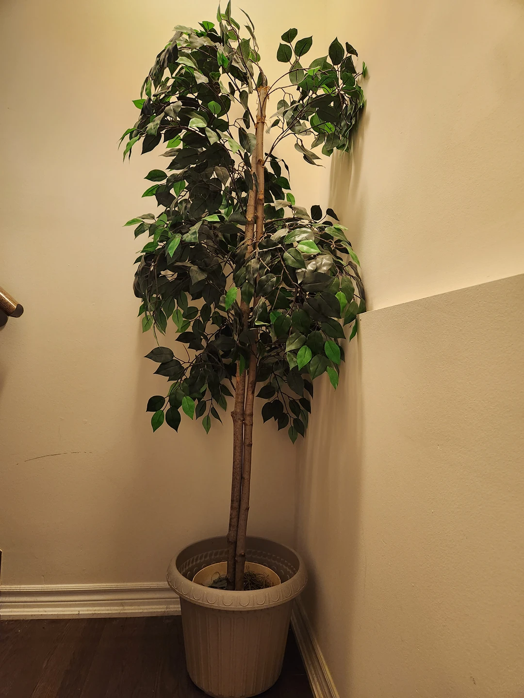 trade in or sell it: artificial plant thumbnail