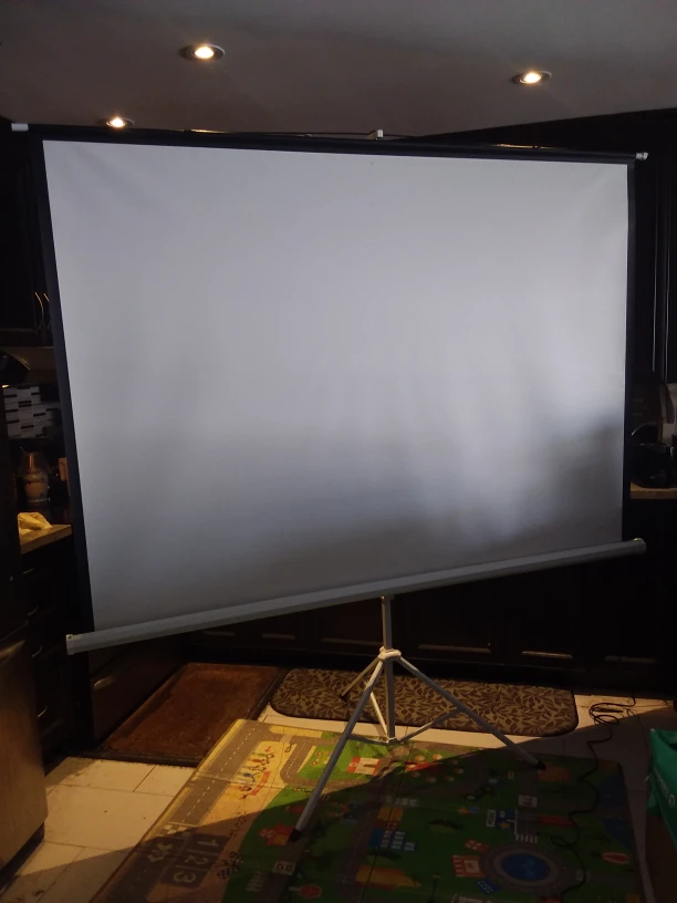 100" projector screen white portable
