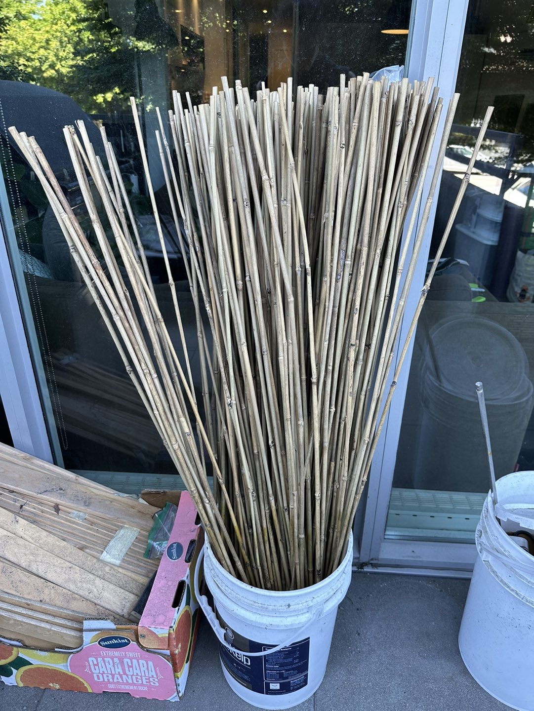 4’ Bamboo Stakes (approx 200 pcs) ⬆️ thumbnail