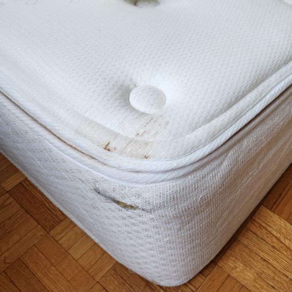 King-Sized Westin Heavenly Bed Mattress #freecycle image indicator(3)