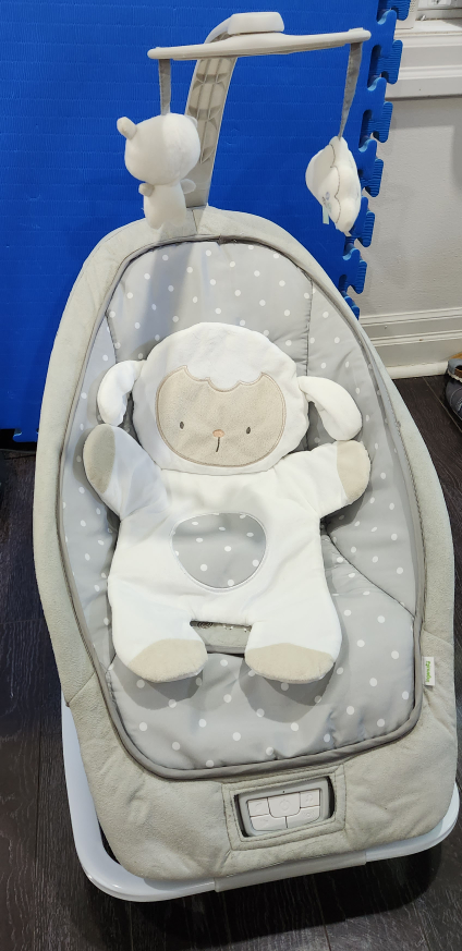 Ingenuity Baby/infant Rocker - photo 3
