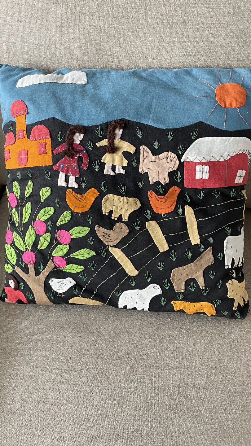 pillow. hand embroidery thumbnail