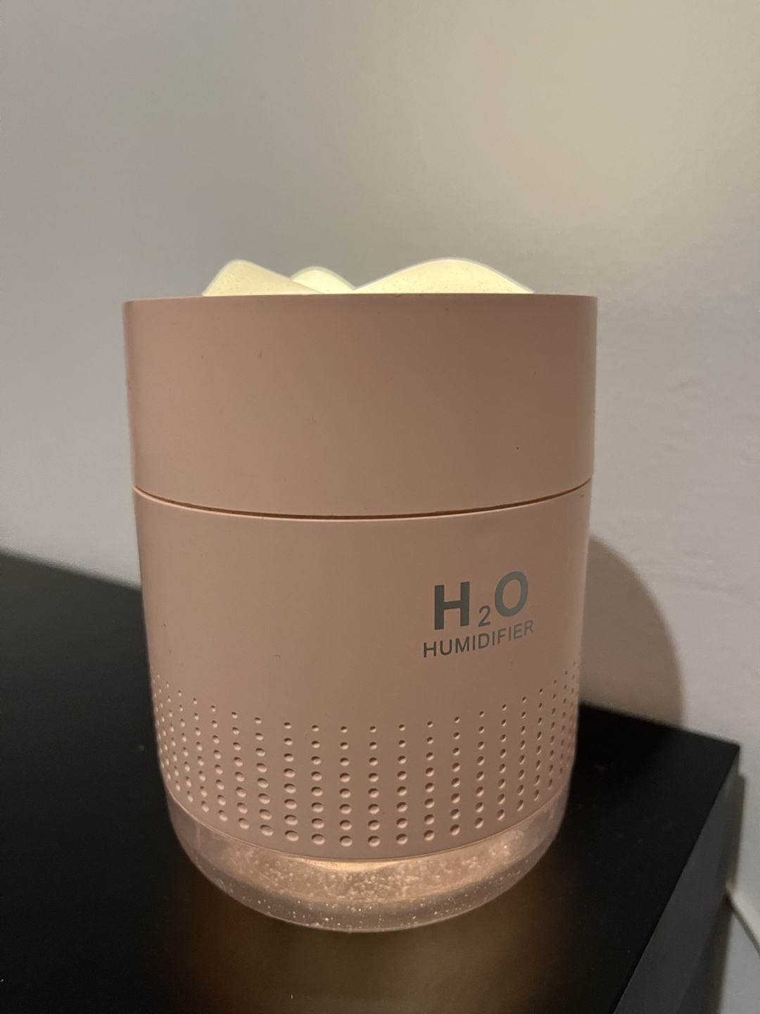H2O Humidifier - photo 3